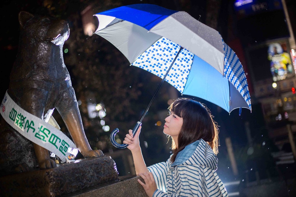 【ROM】【ダウンロード版】四季写報 六月~八月