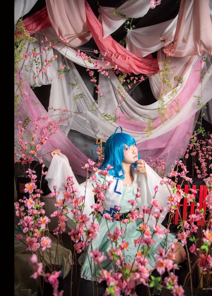 【写真集】幻想刻秘録 -東方神霊廟 霍青娥-