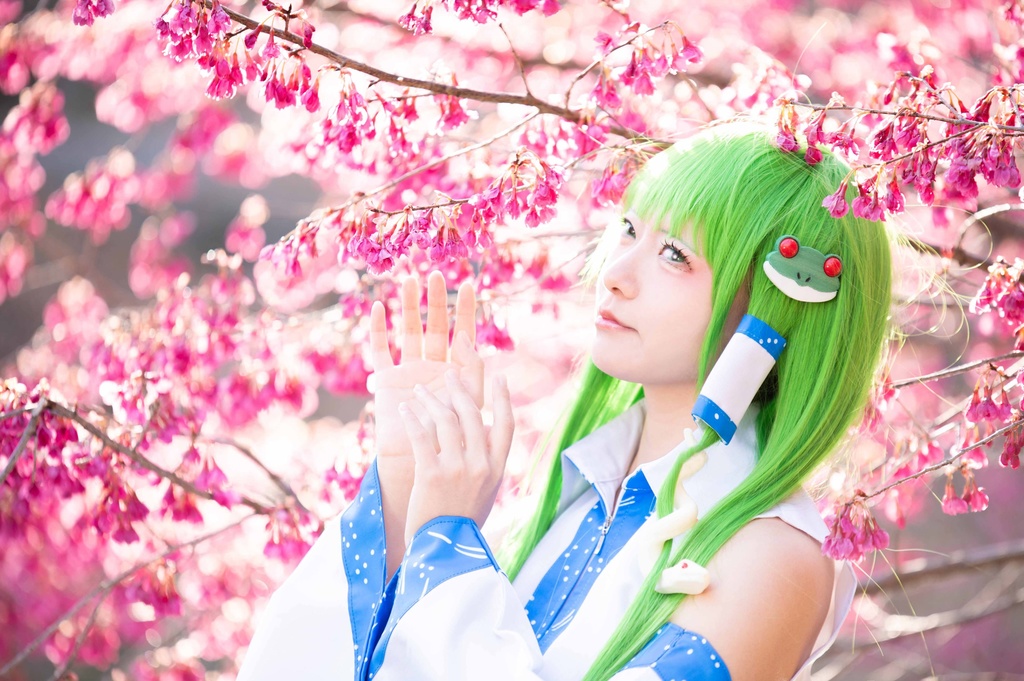 【ROM】【ダウンロード版】幻想刻秘録 -東方風神録 東風谷早苗-