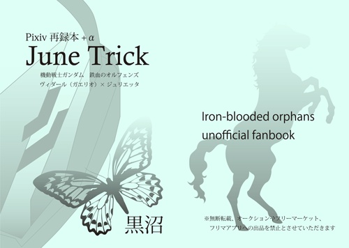 June Trick（ヴィダール×ジュリエッタ）