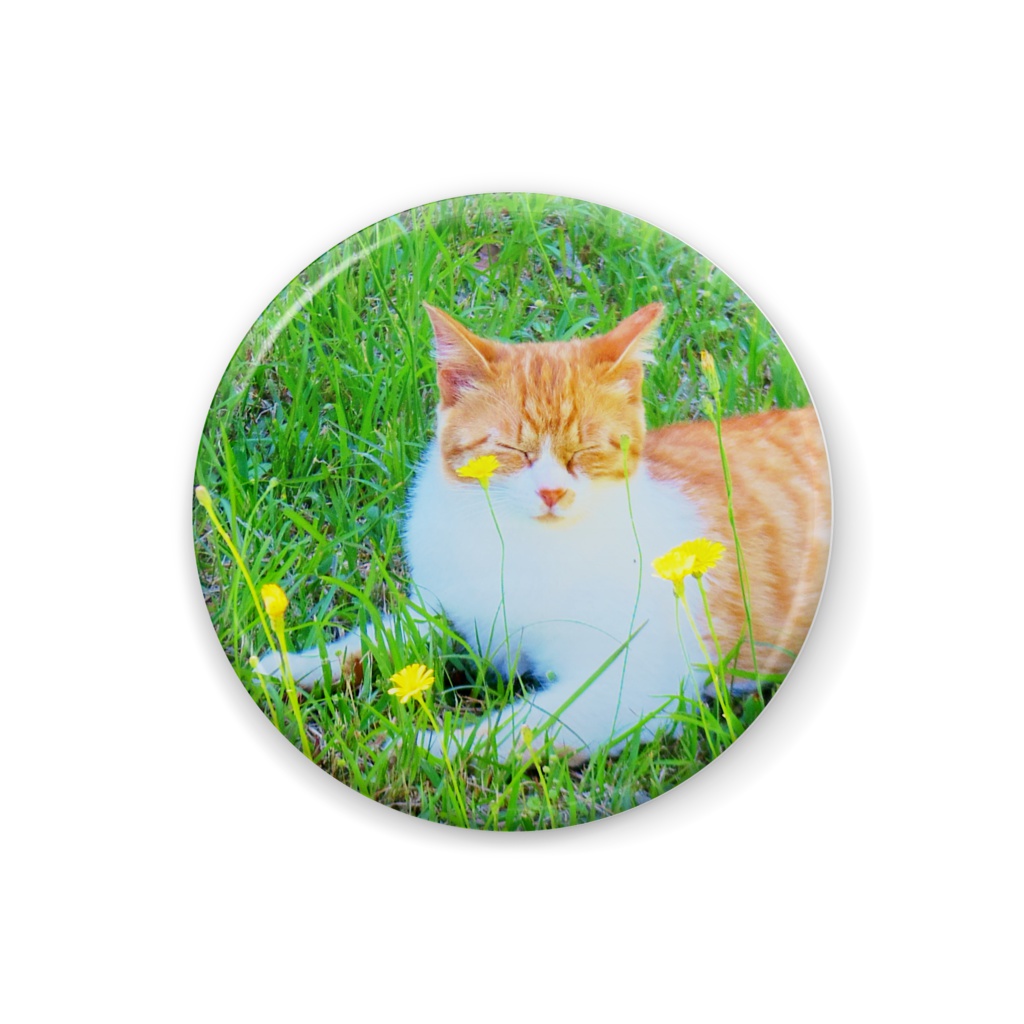 日陰のちゃしろバッジ