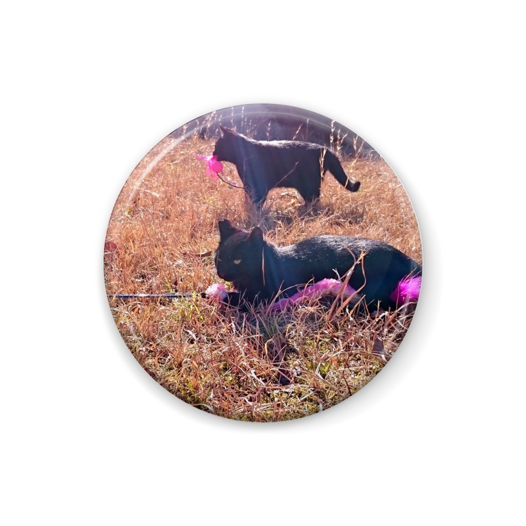 二匹の黒猫バッジ