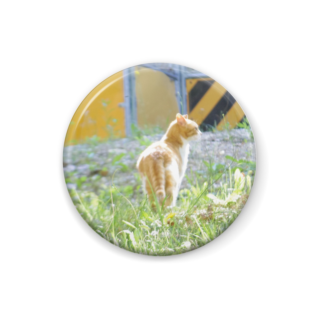 光の中のちゃしろバッジ