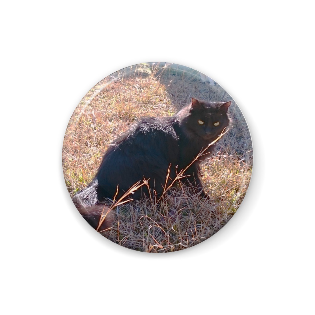 もふ黒猫バッジ