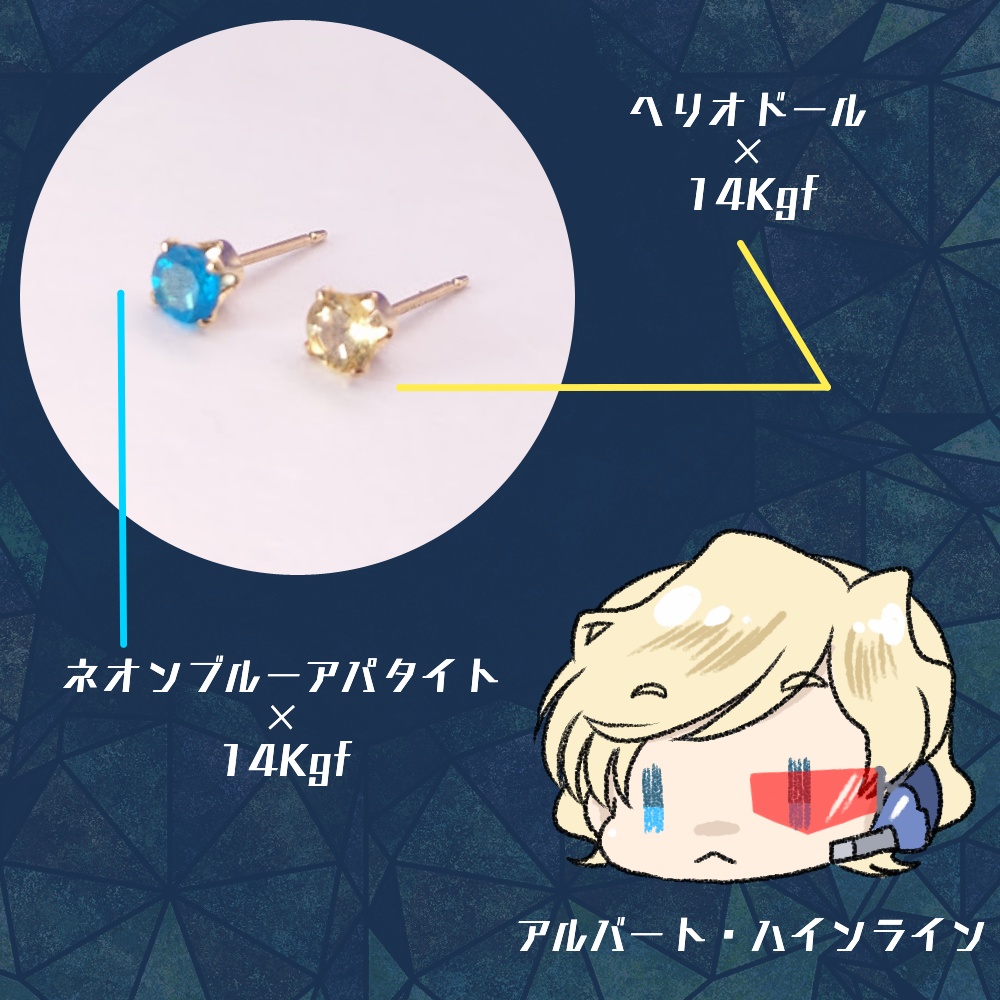 ノイマン他 概念ピアス