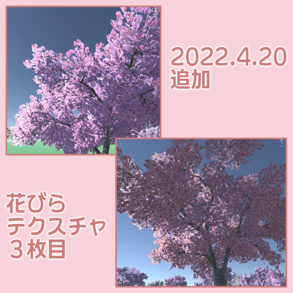 桜の3Dモデル②