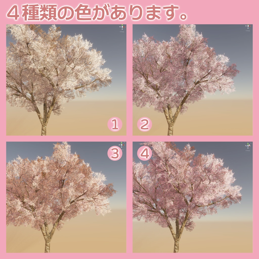 桜の3Dモデル②