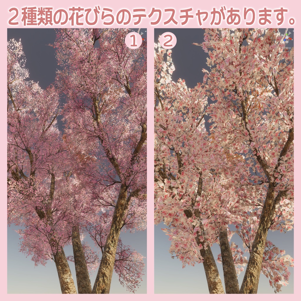 桜の3Dモデル②