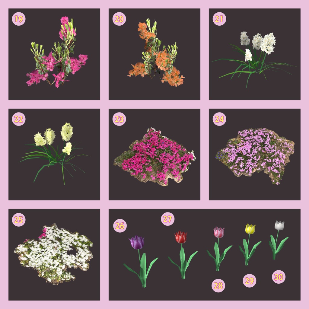 花の3Dモデル(30種類)