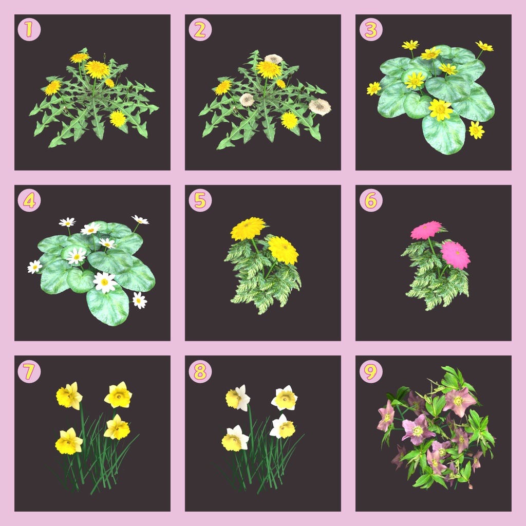 花の3Dモデル(30種類)