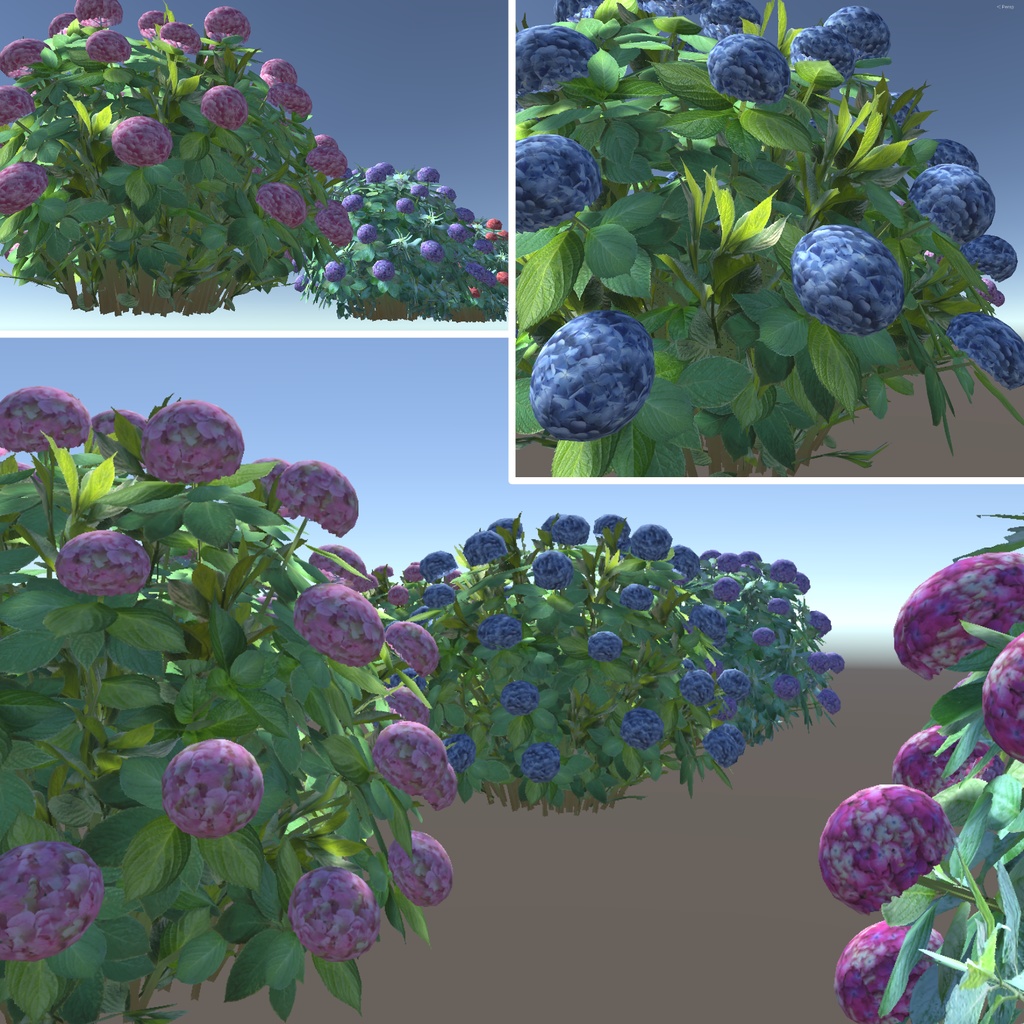 紫陽花の3Dモデル(9色)