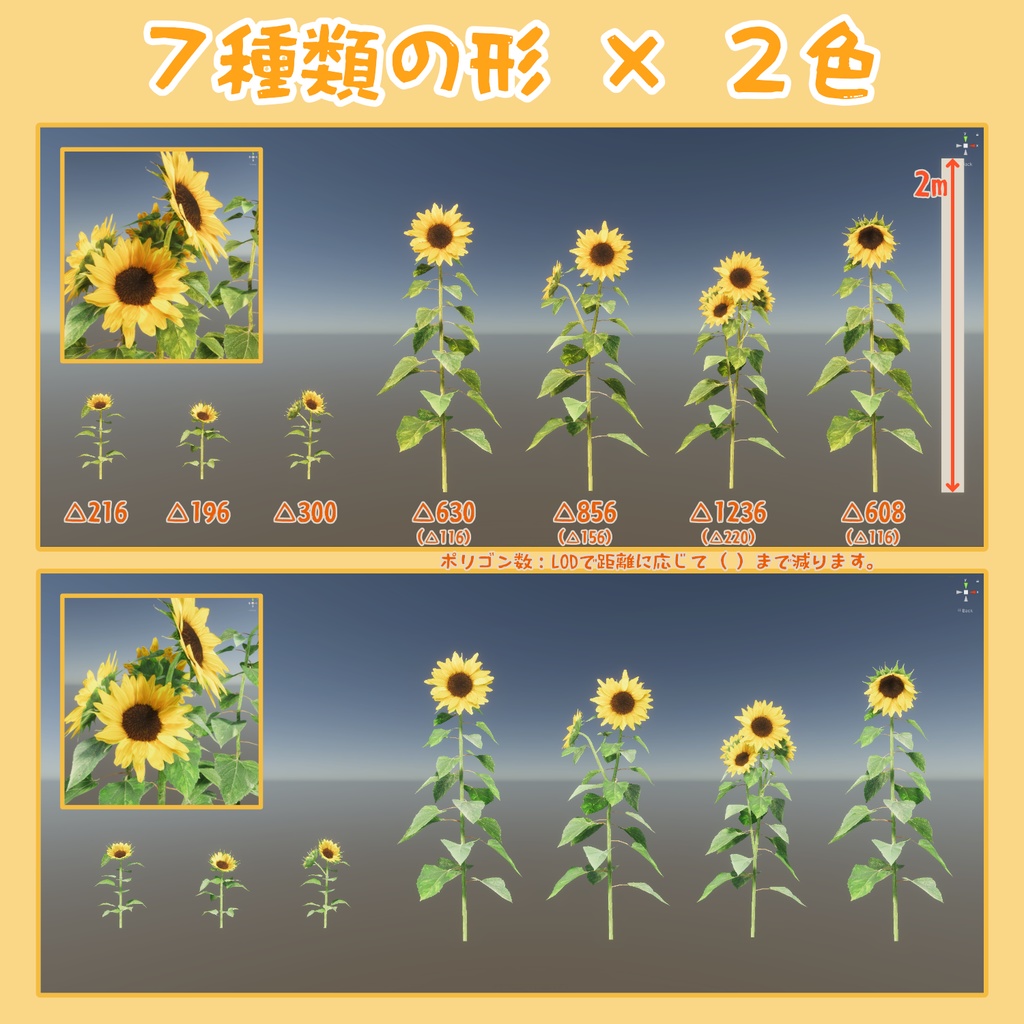 ひまわりの3Dモデル