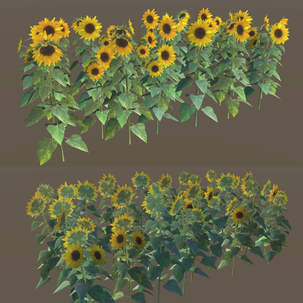 ひまわりの3Dモデル