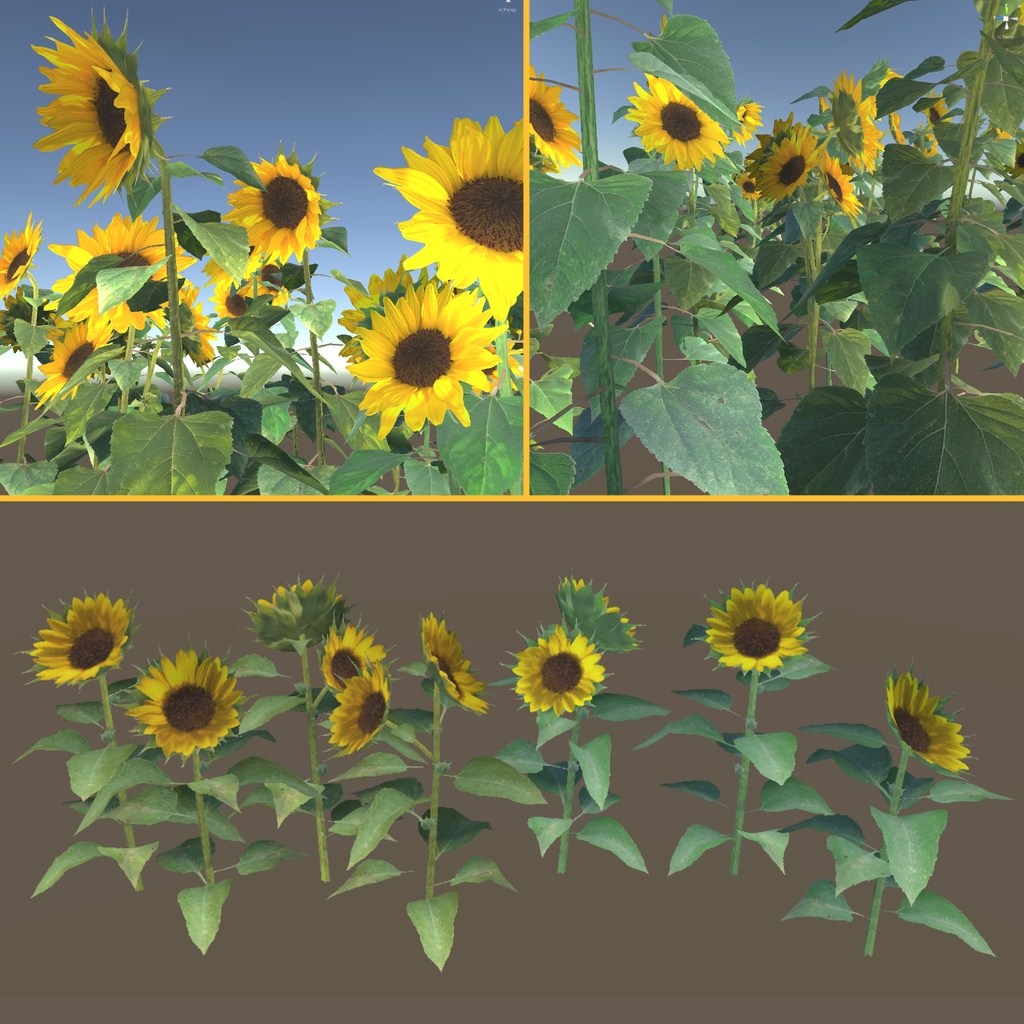 ひまわりの3Dモデル