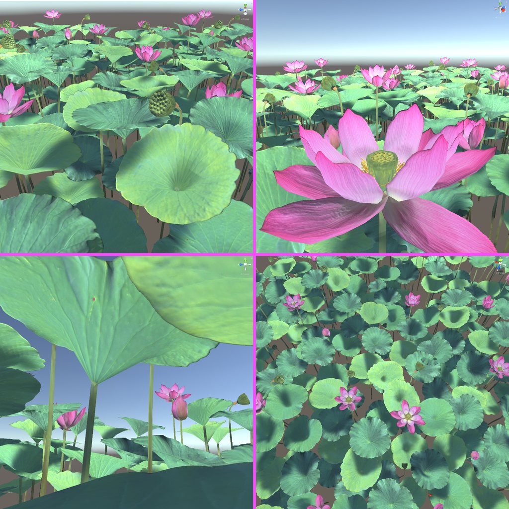 蓮の花の3Dモデル