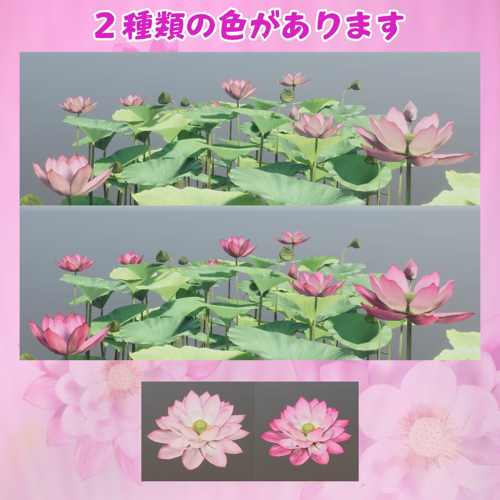 蓮の花の3Dモデル