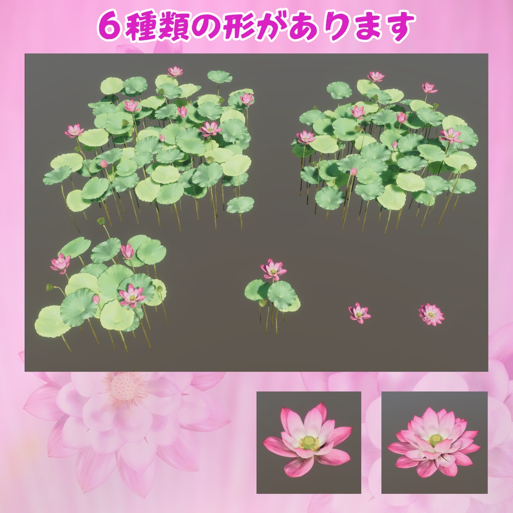 蓮の花の3Dモデル
