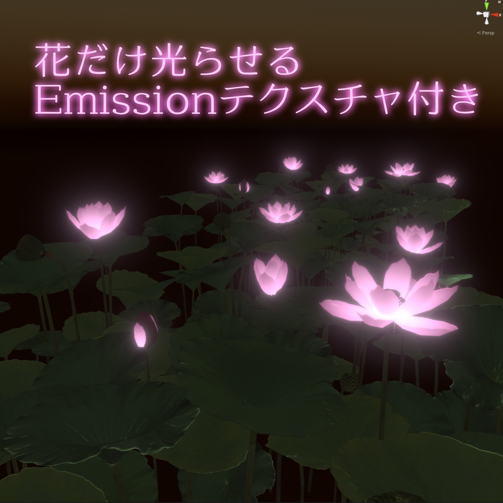 蓮の花の3Dモデル