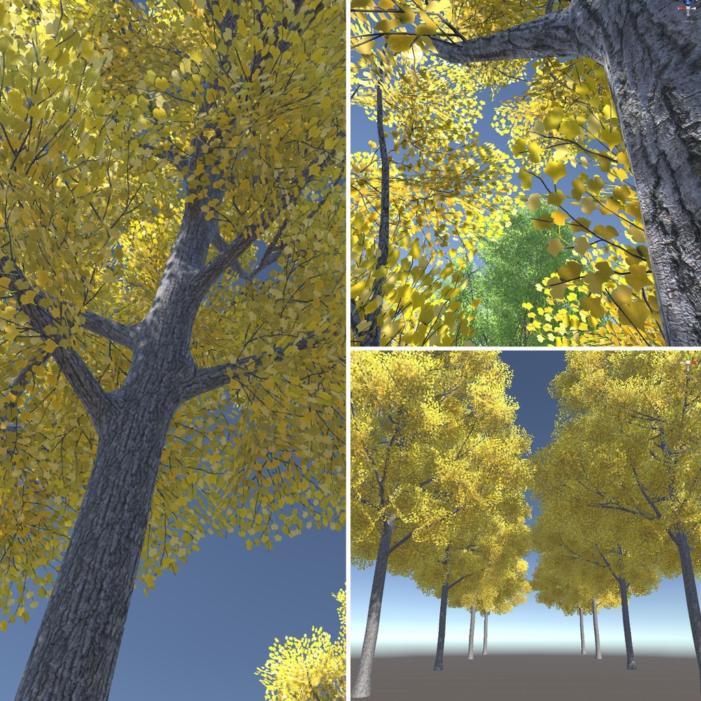 イチョウの3Dモデル