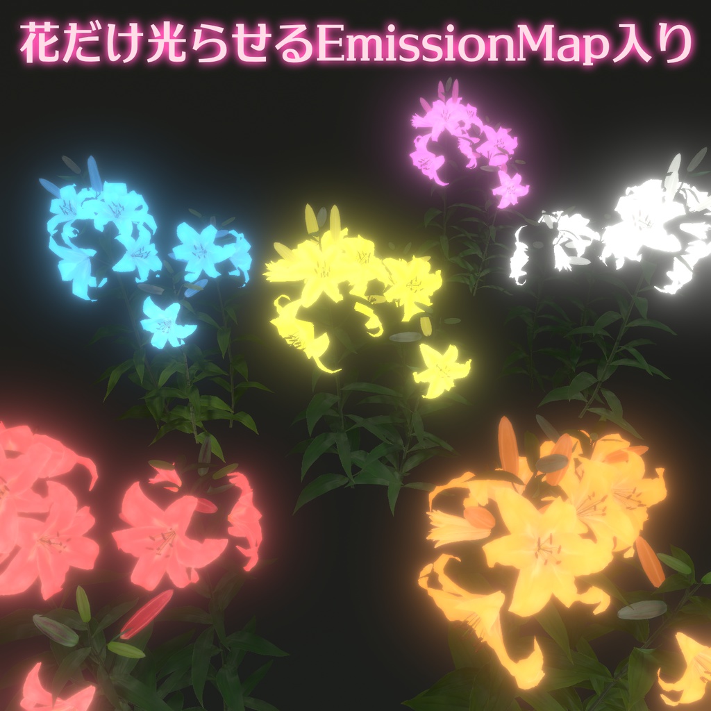 カサブランカ(ユリ科)の花の3Dモデル