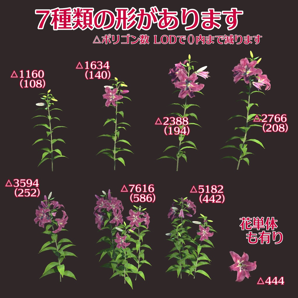 カサブランカ(ユリ科)の花の3Dモデル