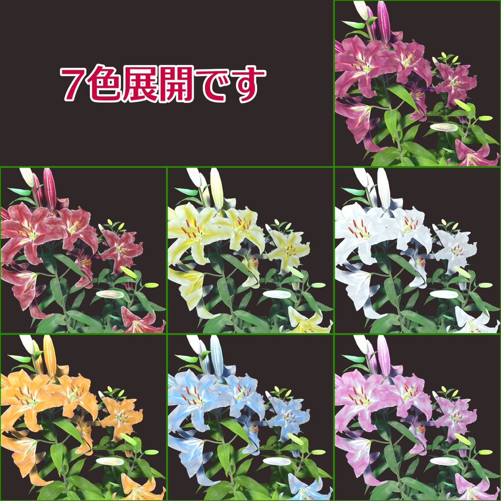 カサブランカ(ユリ科)の花の3Dモデル
