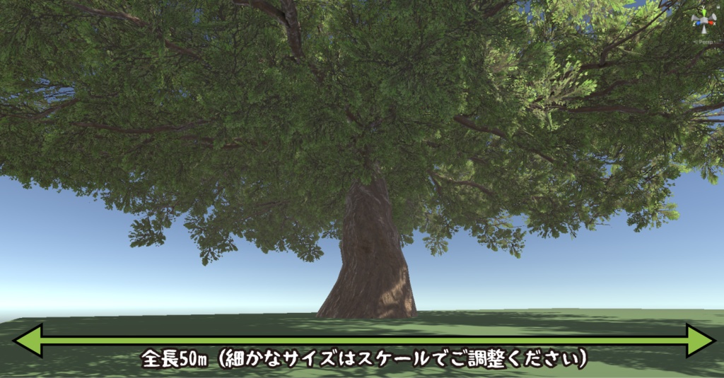 巨大樹の3Dモデル