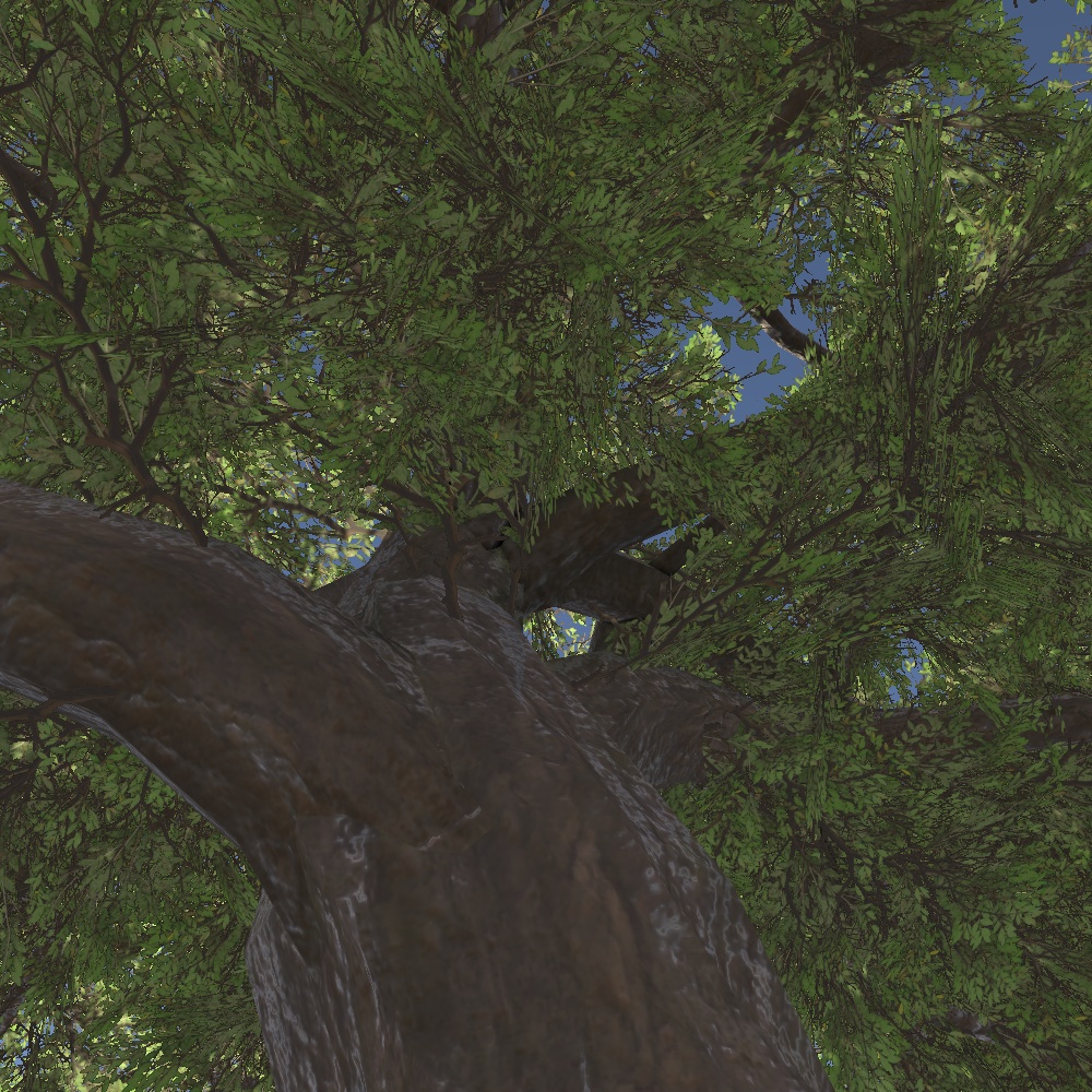 巨大樹の3Dモデル