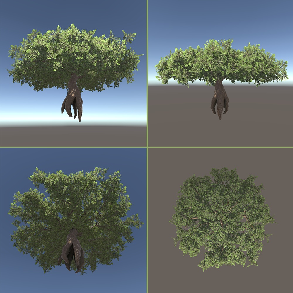 巨大樹の3Dモデル