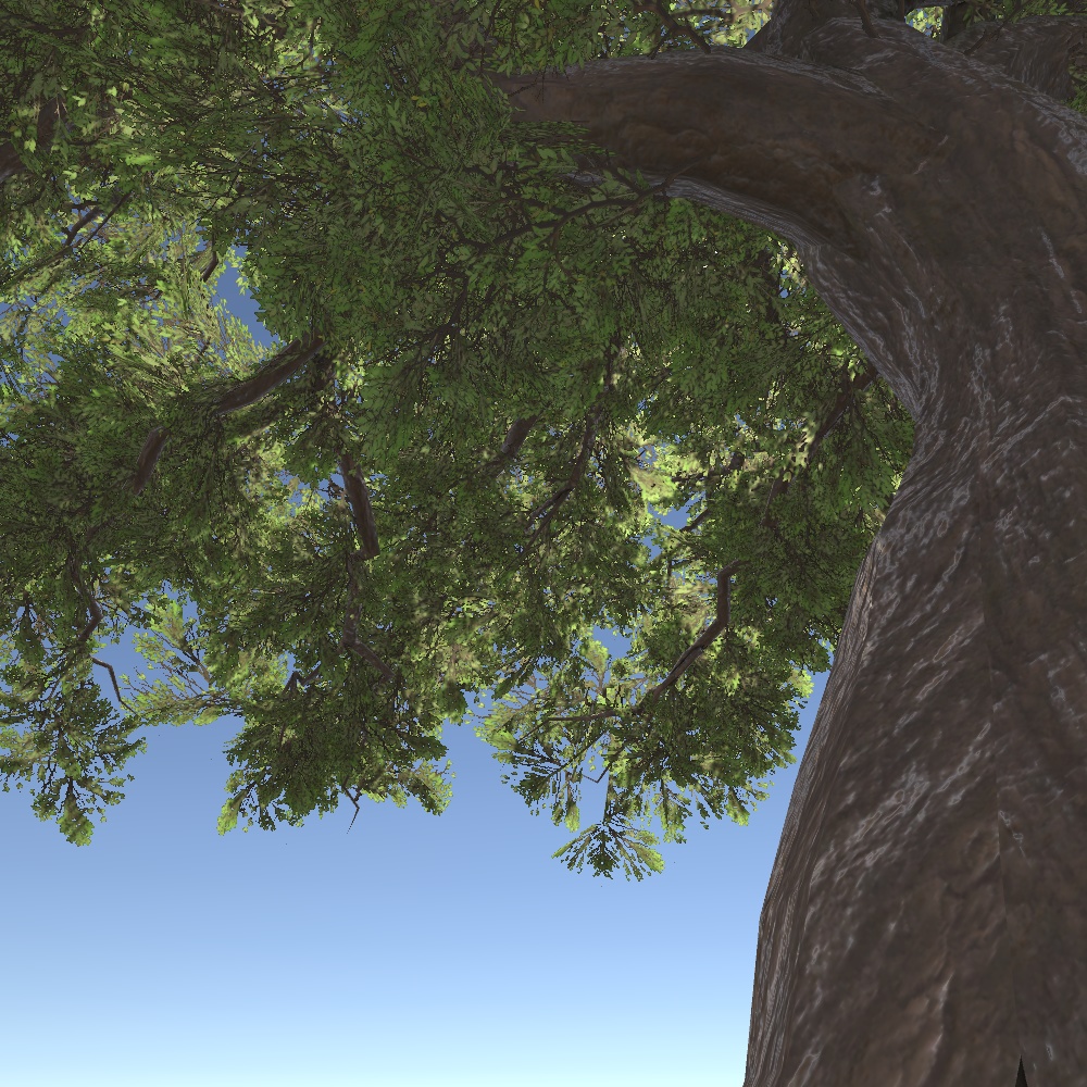 巨大樹の3Dモデル