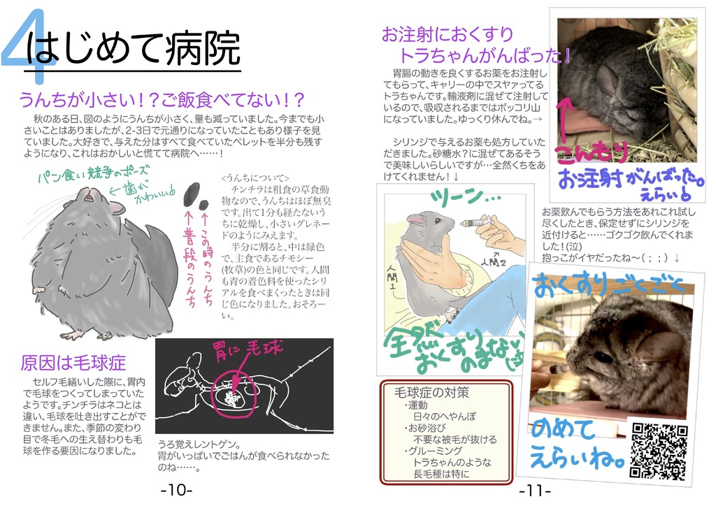 チンチラ飼育日記