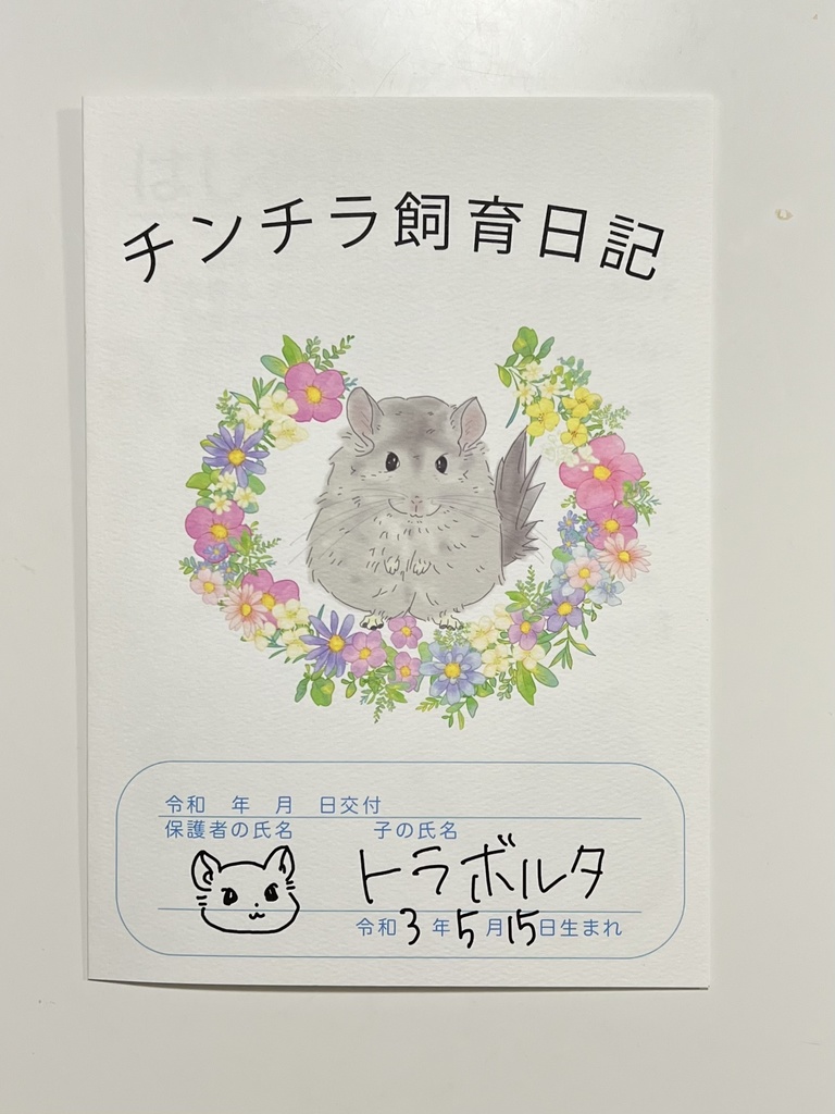チンチラ飼育日記