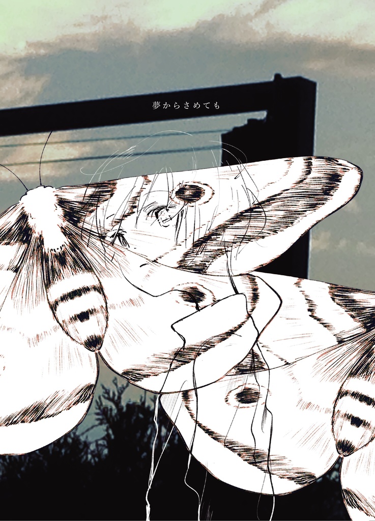 夢からさめても