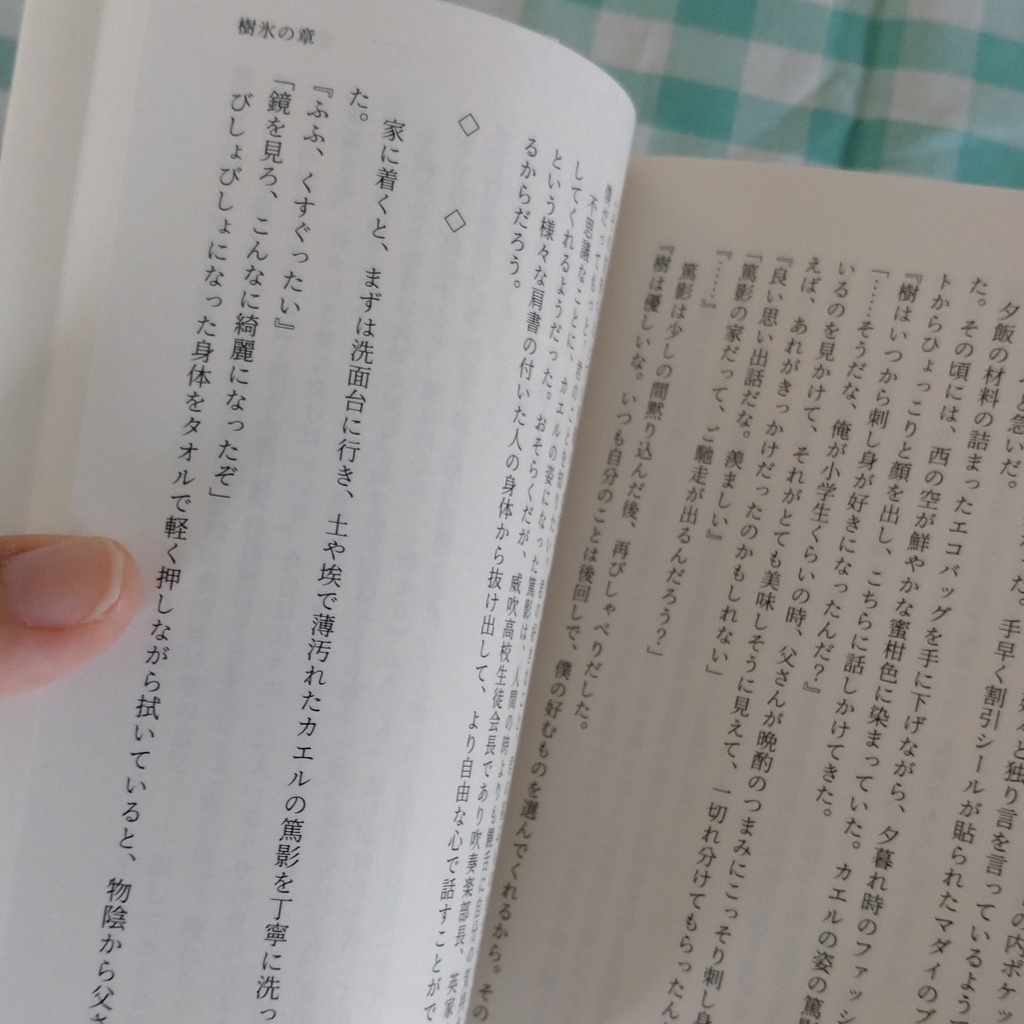 樹氷と石英 了篤短篇集