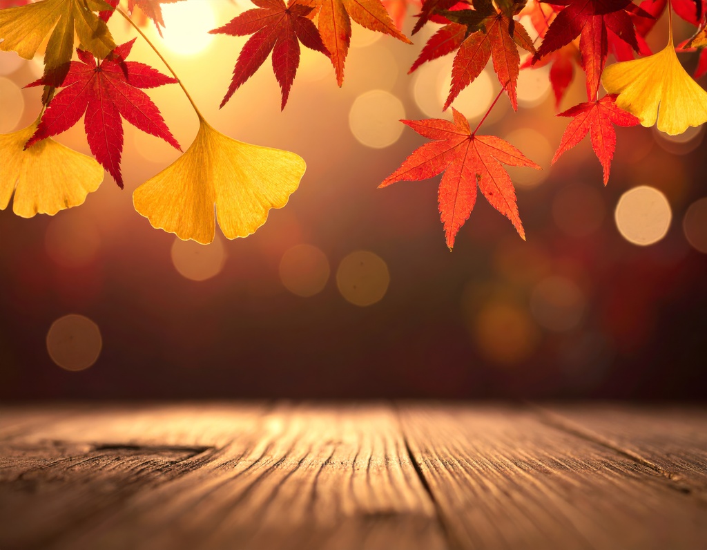 和風・上品な紅葉背景素材10枚セット|秋のお知らせ・販促デザインに|デジタル素材