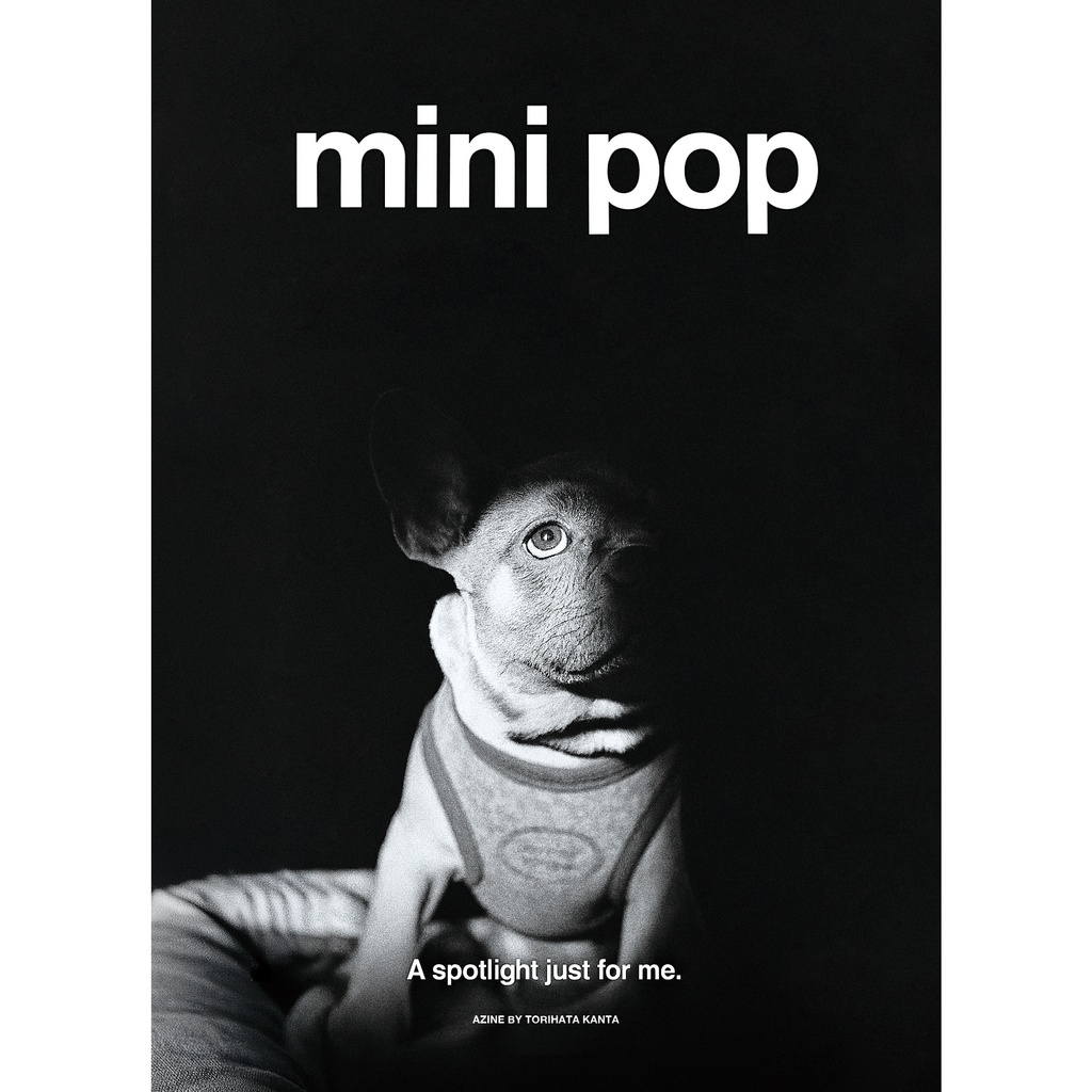 mini pop vol.1