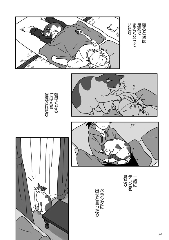 ちゃーにゃんマンガ