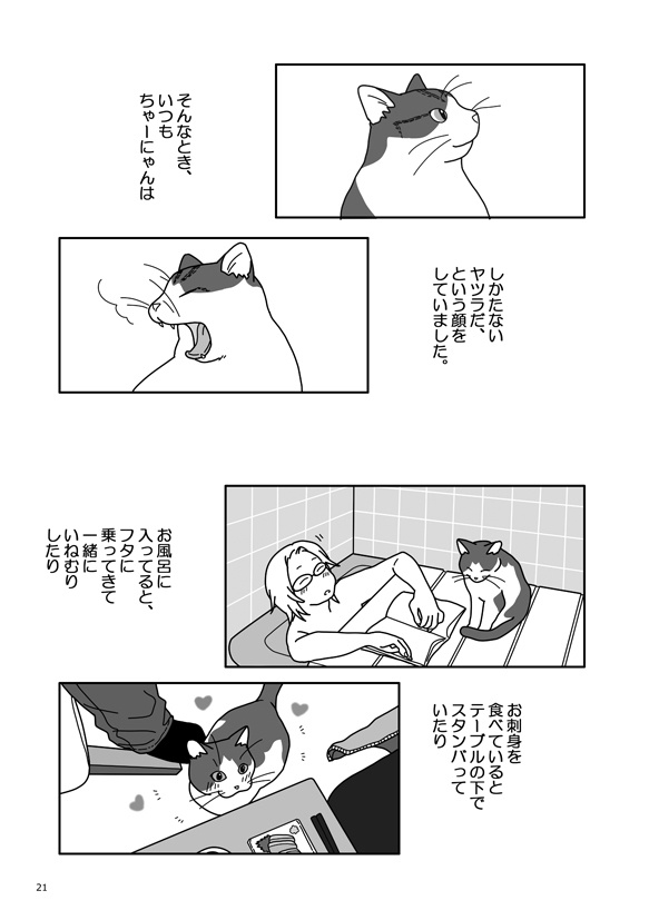 ちゃーにゃんマンガ