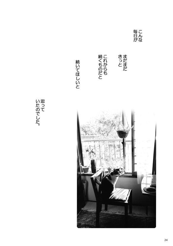 ちゃーにゃんマンガ