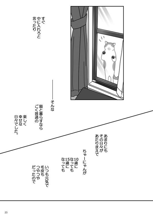 ちゃーにゃんマンガ
