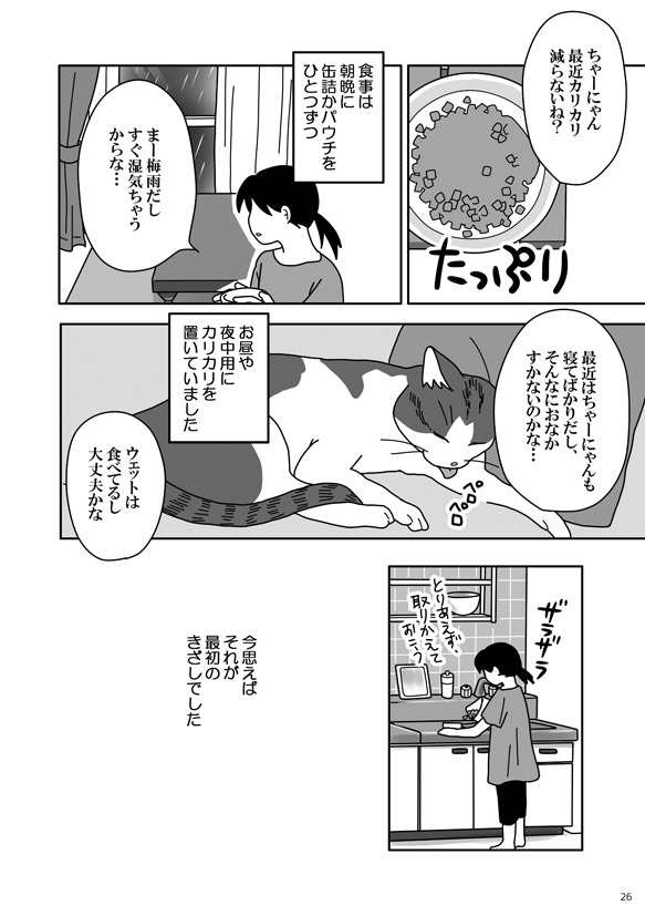 ちゃーにゃんマンガ