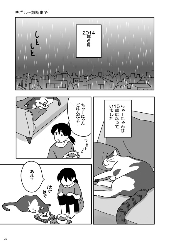 ちゃーにゃんマンガ