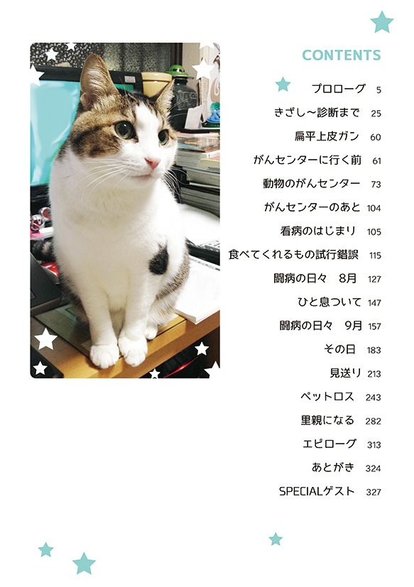 ちゃーにゃんマンガ