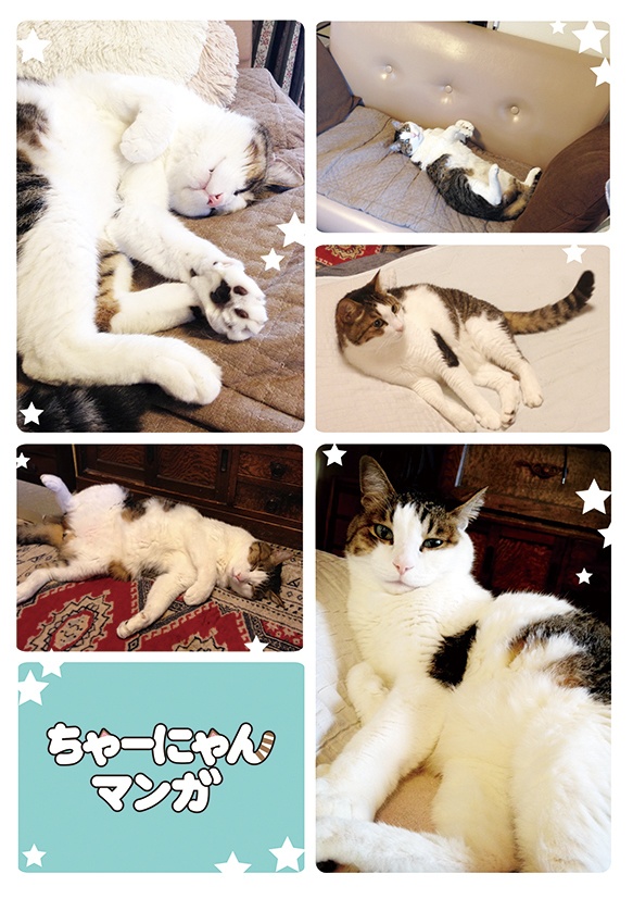 ちゃーにゃんマンガ