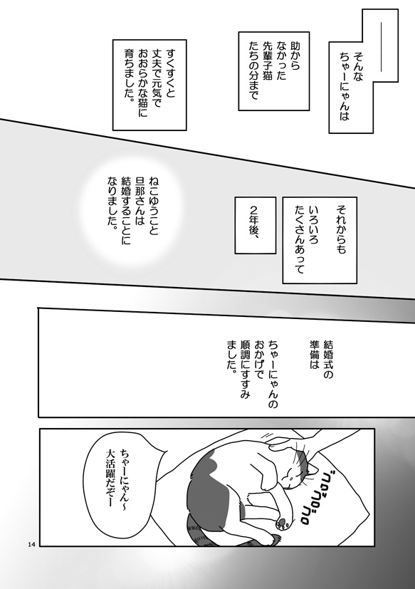 ちゃーにゃんマンガ