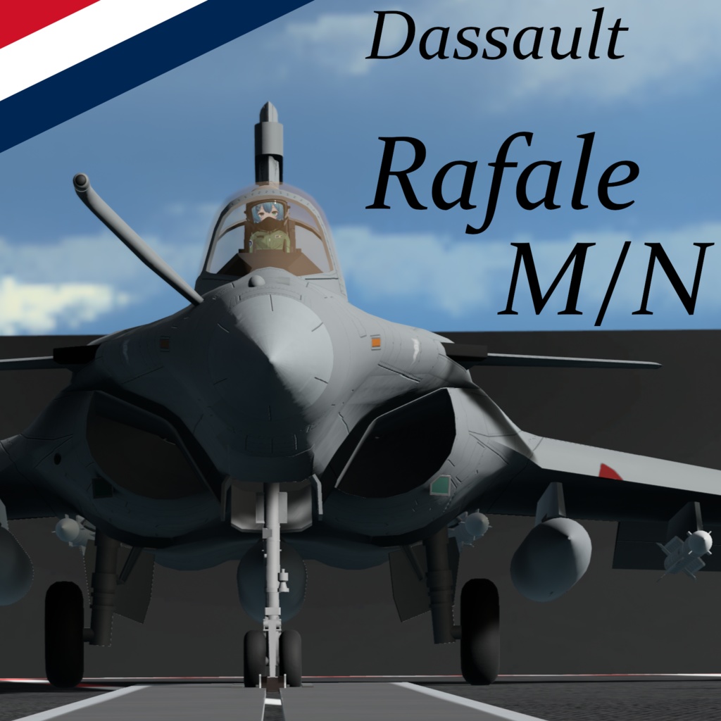 [VRC想定/SaccFlight 適用済] Rafale M/N