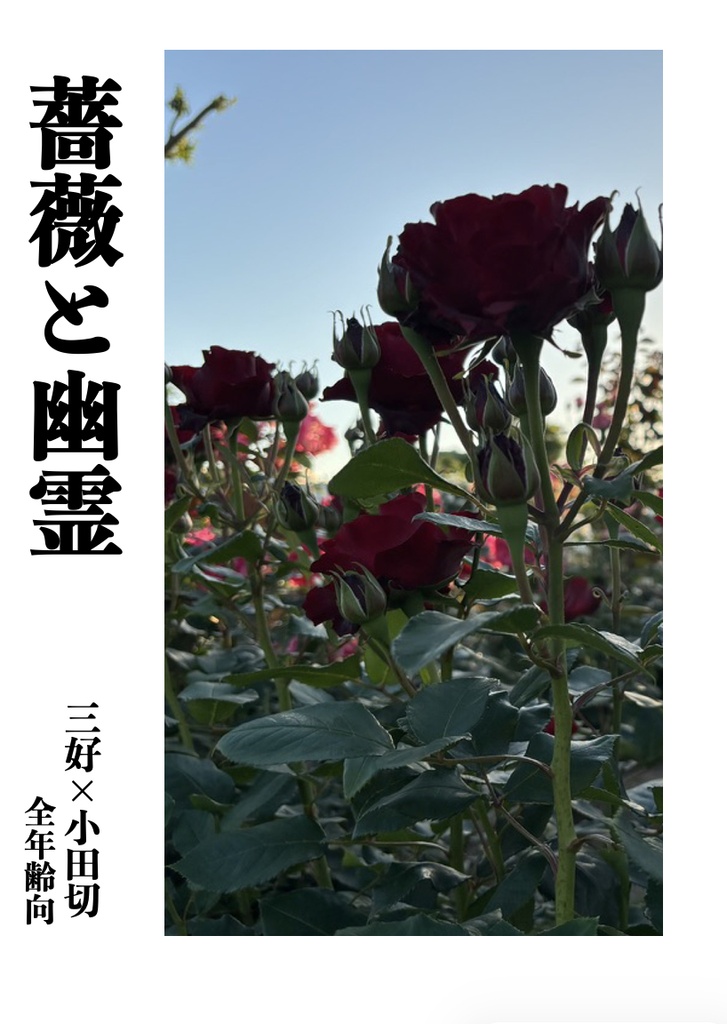 薔薇と幽霊