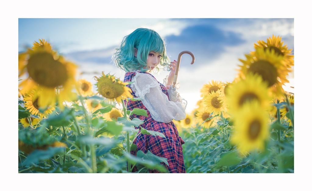 東方懐古写真集 -東方廻季抄-