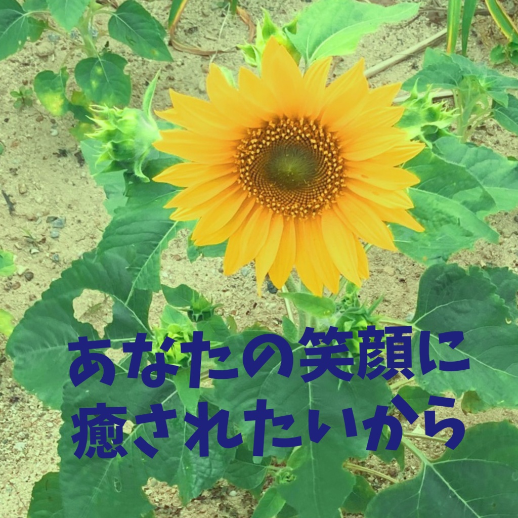 あなたの笑顔に癒されたいから