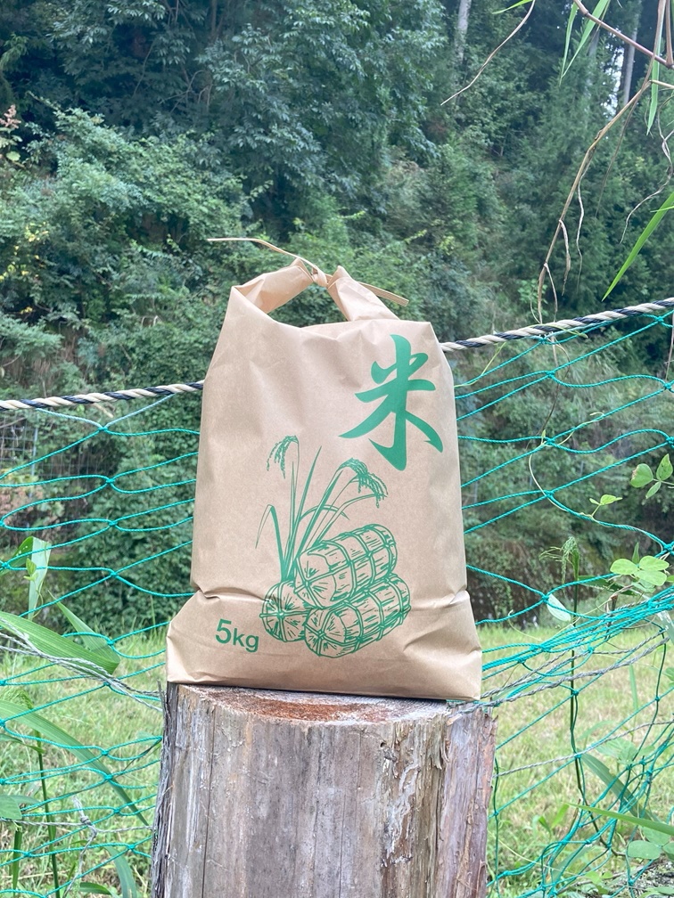 令和7年産米　兵庫県産キヌヒカリ  白米5kg